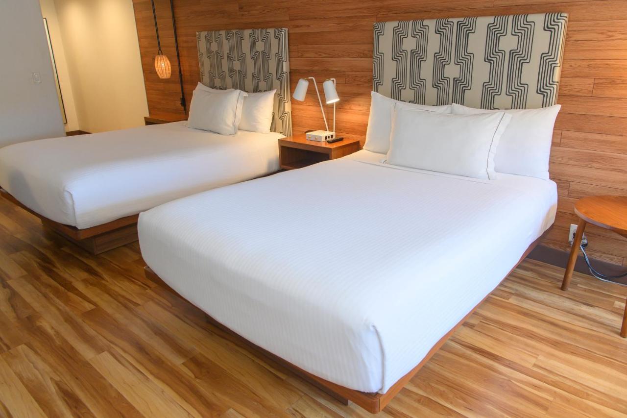 Double or Twin Room - Disability Access